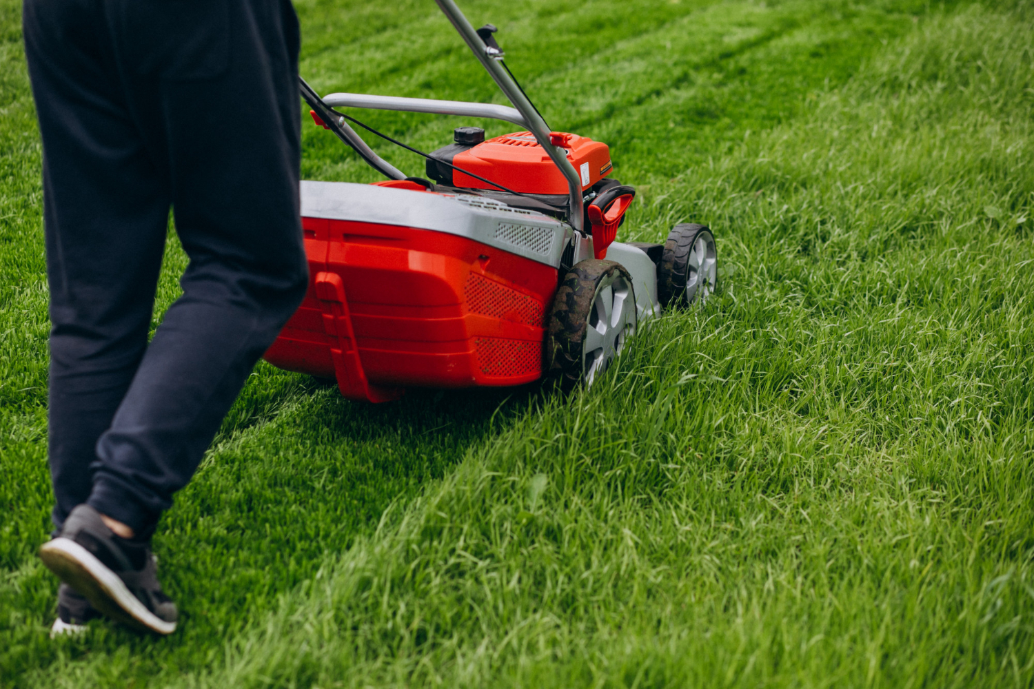 Professional lawn care service