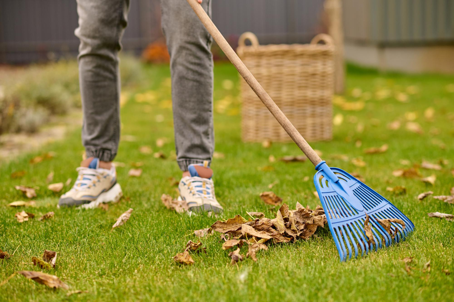 Yard Cleanup Service